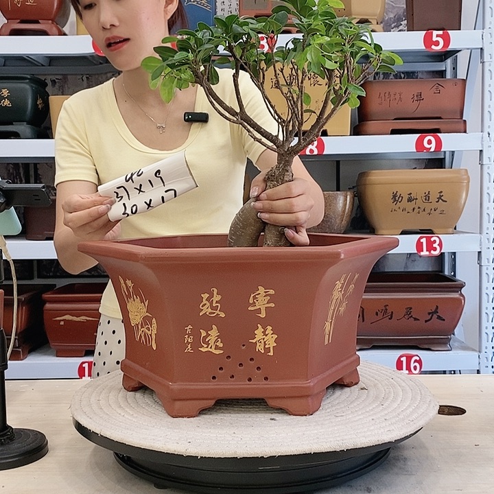 紫砂花盆紫砂花盆