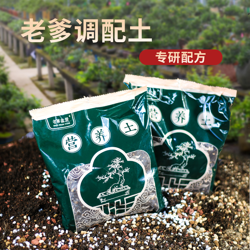 【糖糖】通用型绿植营养土兰花金弹子种植土