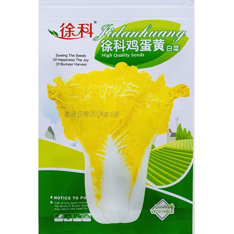 徐科黄芯大白菜种子鸡蛋黄白菜种籽秋季花心狮头白菜种子耐寒正宗