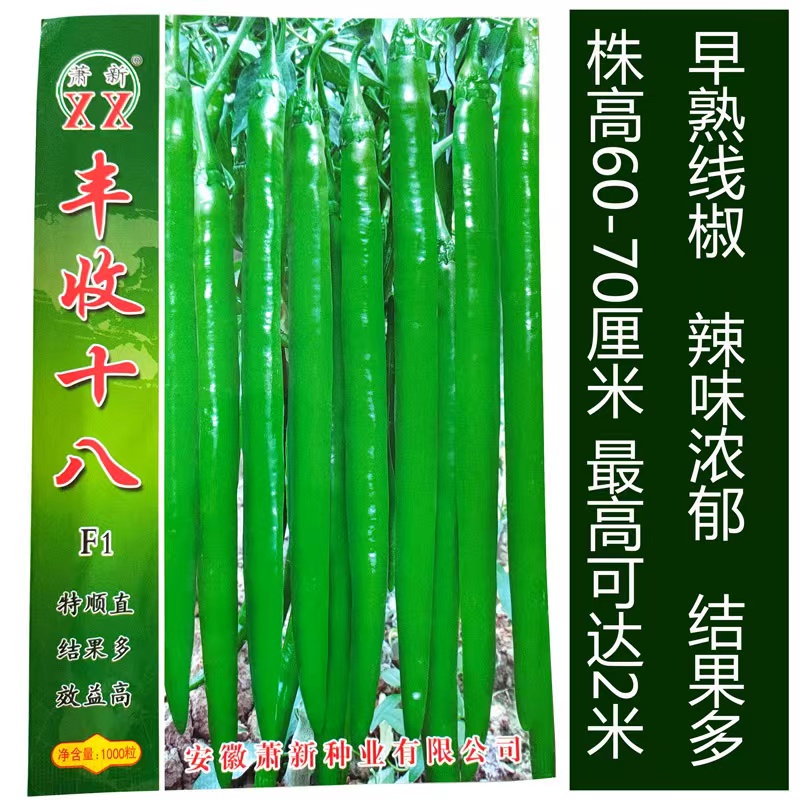 线椒种子丰收十八长线椒种子高产绿皮春秋播种南方辣椒苗蔬菜种子