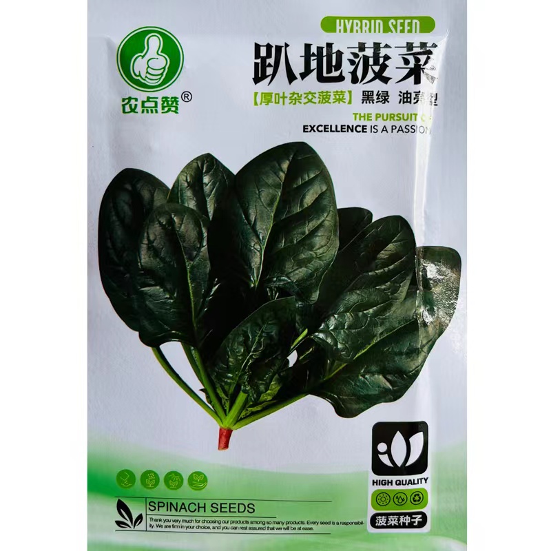 趴地菠菜种子黑园叶菠菜种籽生长速度快耐寒高产越冬蔬菜种子大全