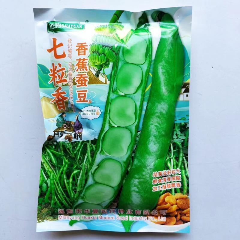 七粒香大粒型蚕豆胡豆种子抗病高产耐寒结荚多七个豆香蕉豆秋播