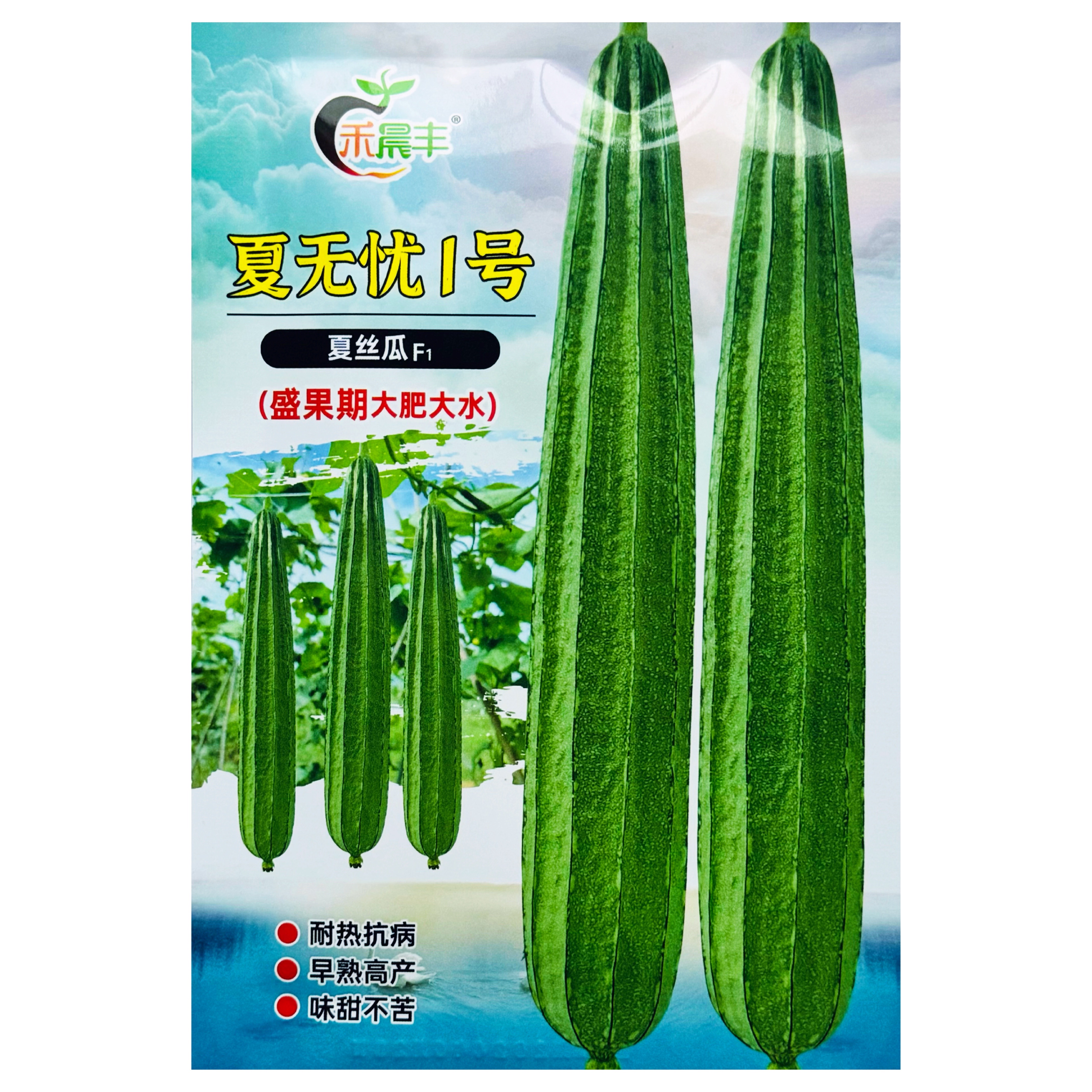 菱角丝瓜种子国外引进耐高温耐湿早熟越夏高产丝瓜种子清甜嫩丝瓜