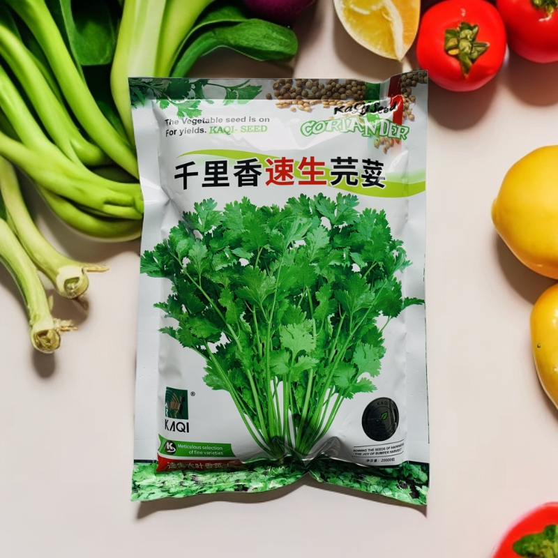 香菜种籽香菜种子籽浓香大叶速生高产耐热耐寒耐抽苔香菜种子阳台
