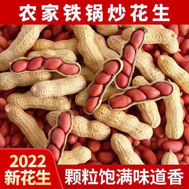 【年货】2023年新货农家铁锅炒花生带壳原味奶香味四粒红衣红皮花