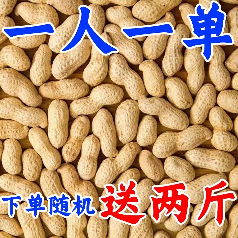 【今年新货】原味炒花生柴火铁锅炒熟花生带壳特级水煮多味五香咸