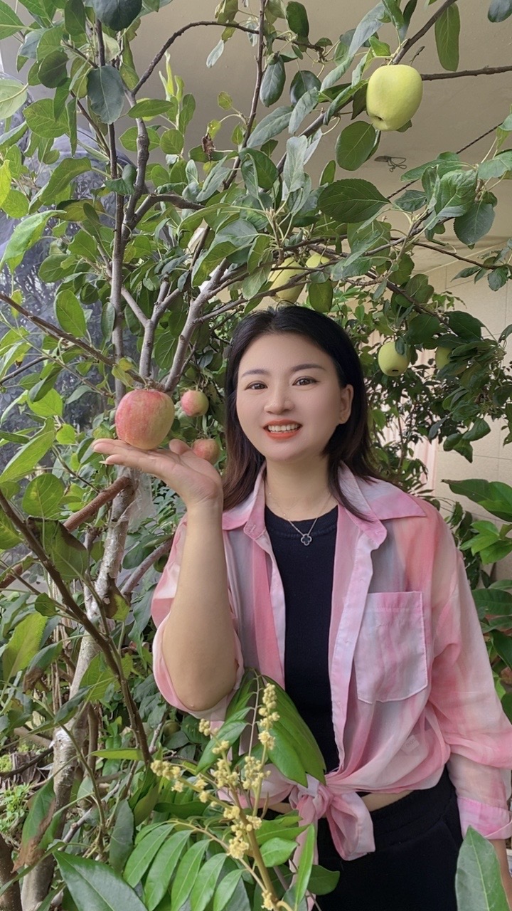 南方热带苹果老庄