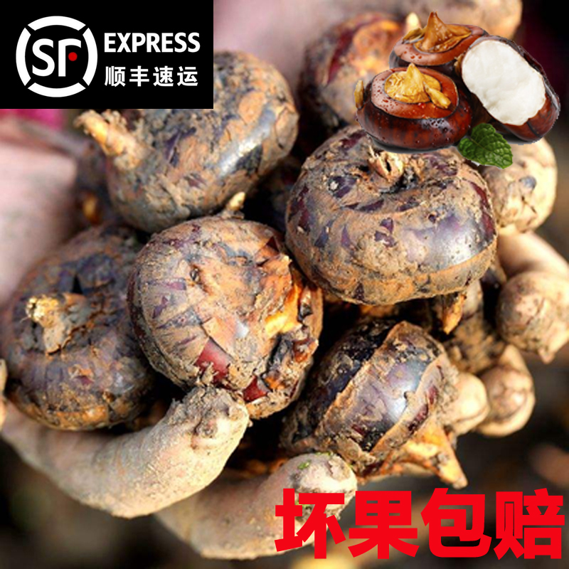 顺丰包邮正宗广西桂林荔浦马蹄正宗水果荸荠3斤5斤大果脆甜化渣