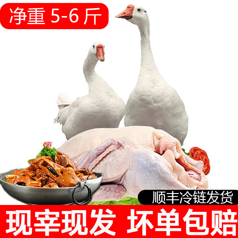 【整只大鹅送土鸭一只】散养大鹅杀后净重5-6斤含心肝肺鲜嫩