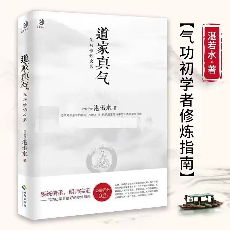 道家真气（气功修炼次第）海南出版社 （中国台湾）湛若水著 正版书籍