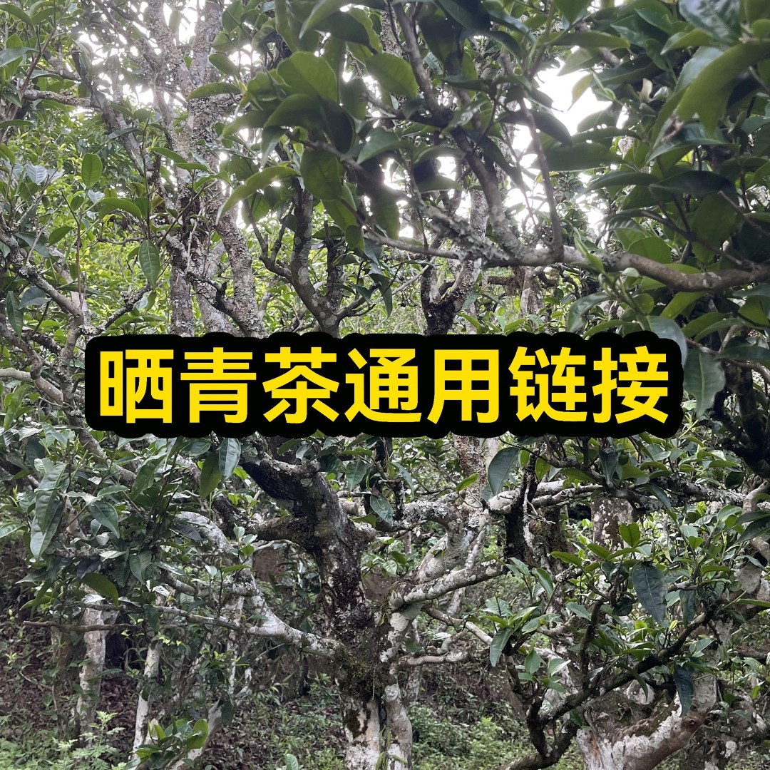 素三知茶叶通用链接        （拍茶请备注）