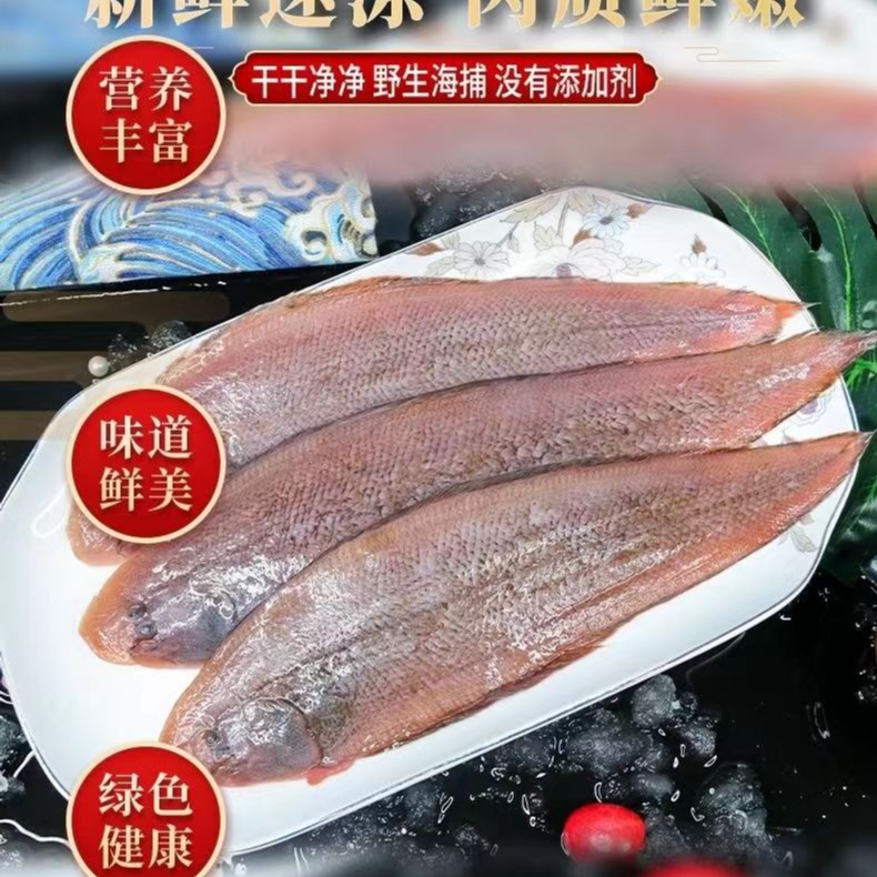 连云港发货 野生海捕 龙利鱼5斤顺丰包邮到家新鲜速冻深海捕捞