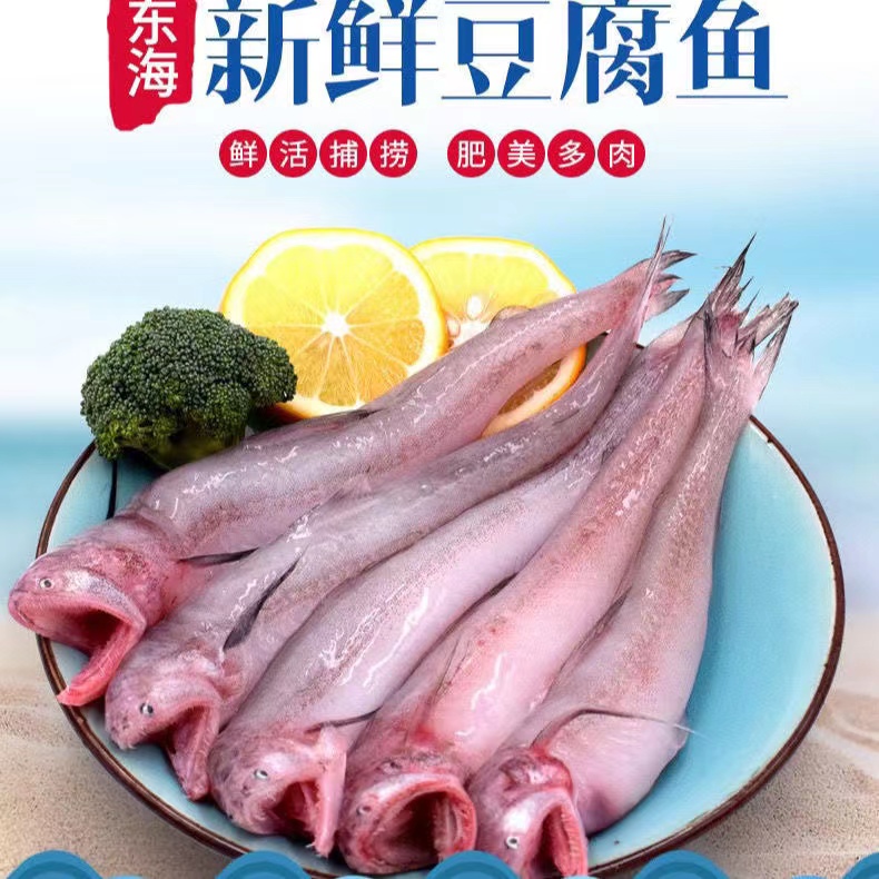 野生海捕龙头鱼新鲜豆腐鱼，速冻保鲜发货捕捞鲜嫩海鱼生鲜