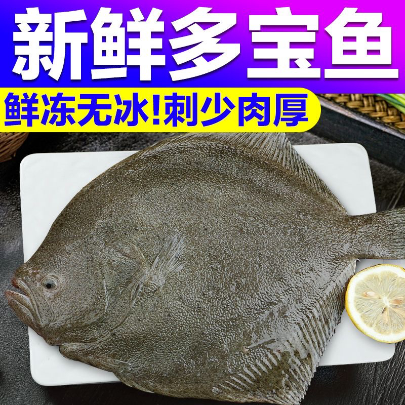 新鲜多宝鱼。新鲜比目鱼。当天捕捞的。连云港六斤顺丰包邮到家
