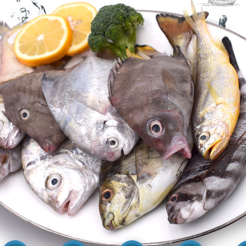 海杂鱼  海捕海鱼  鲜冻发货  新鲜海捕鱼紧实新鲜  八斤细腻细腻