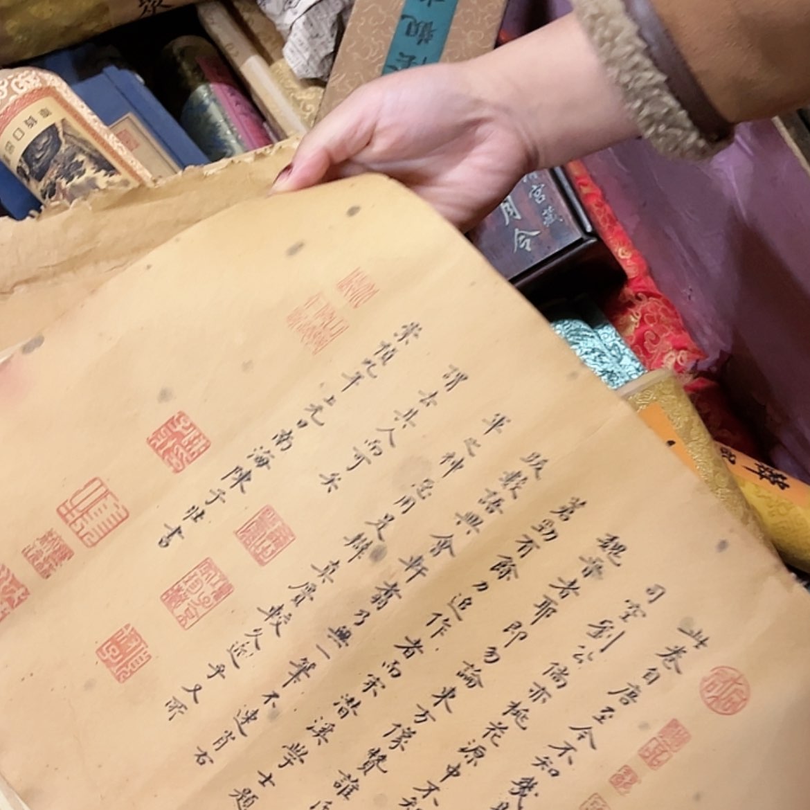 【闪购商品】s f h j k