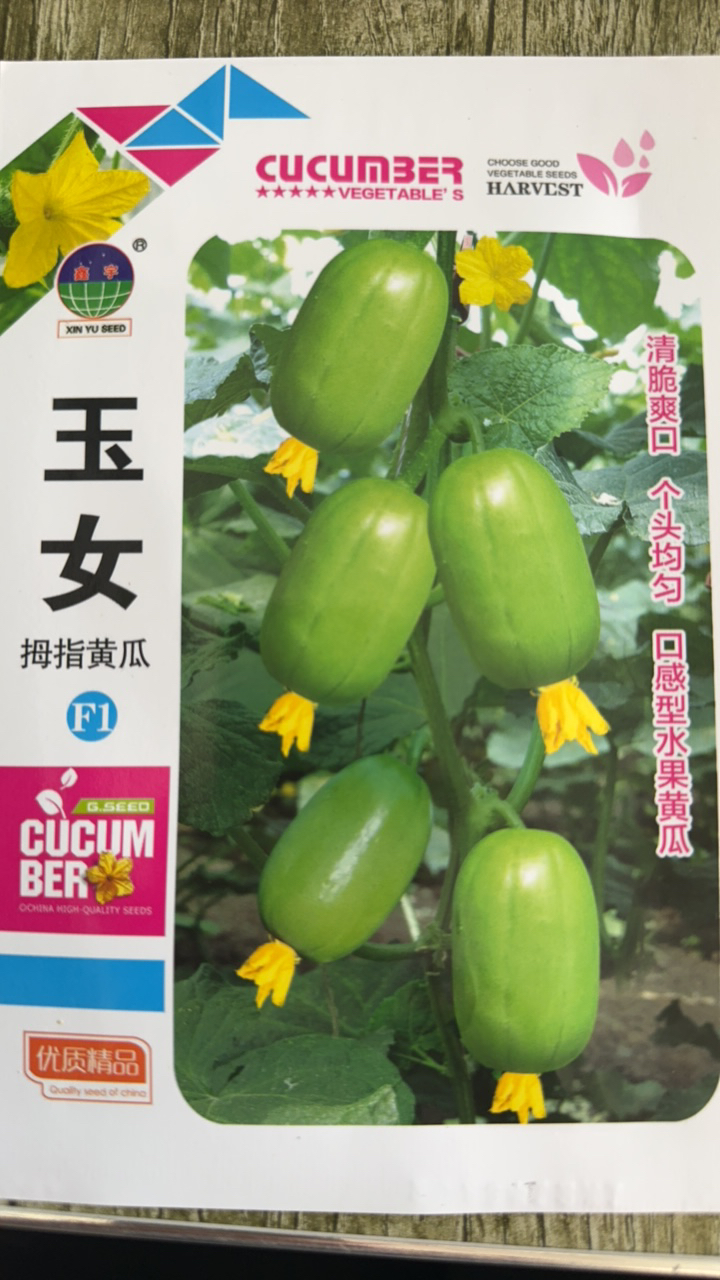 玉女拇指黄瓜籽20粒左右