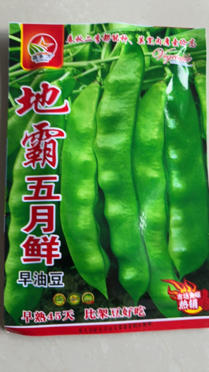 地霸五月鲜地油豆角籽