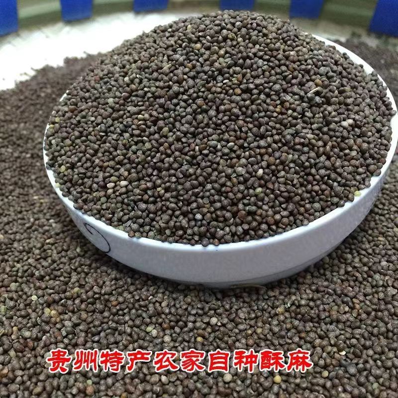 贵州高山种植新苏麻苏麻籽苏籽种子馅引子无杂质贵州酥麻农家食用