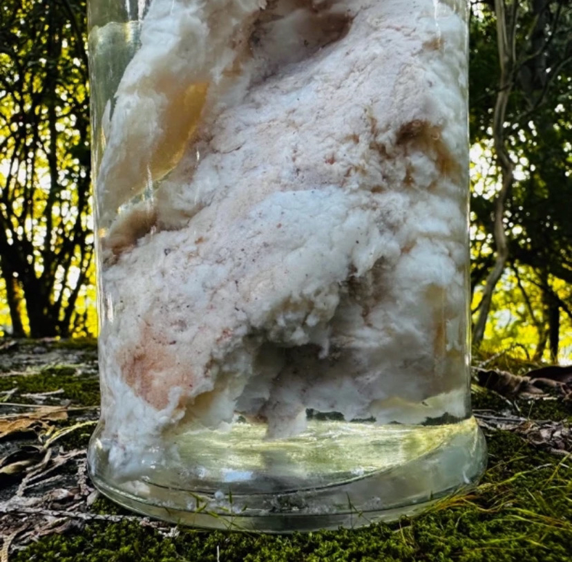 【土特产】石太岁 净含量50g-500g