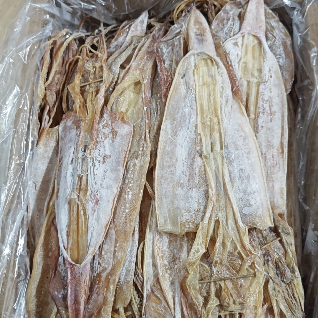 陆丰甲子特产尺鱿