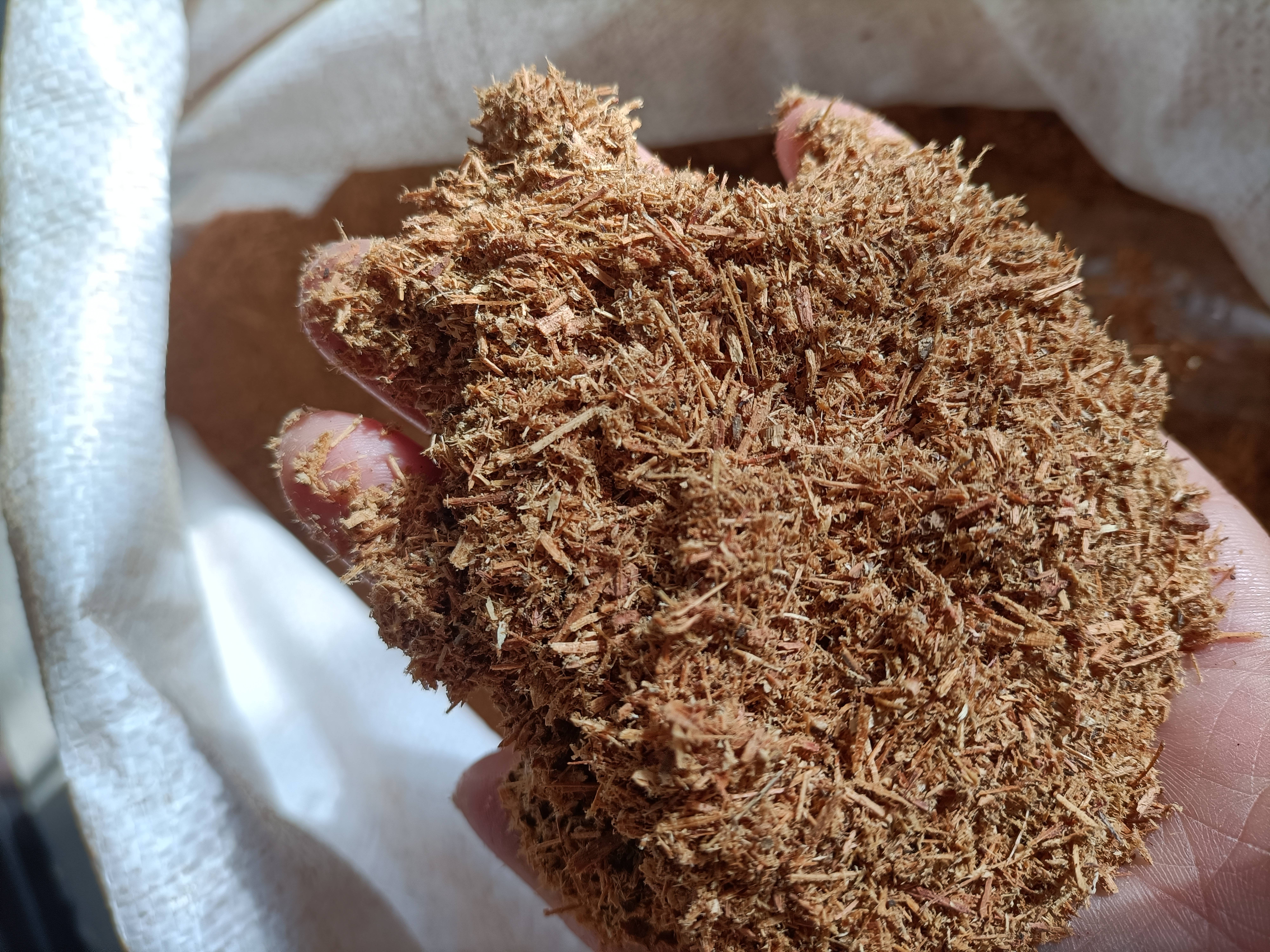 太行柏把件摆件花瓶