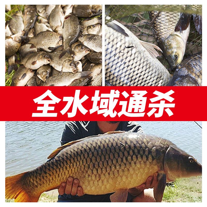 休闲野钓钓竿，大物竿，台钓竿