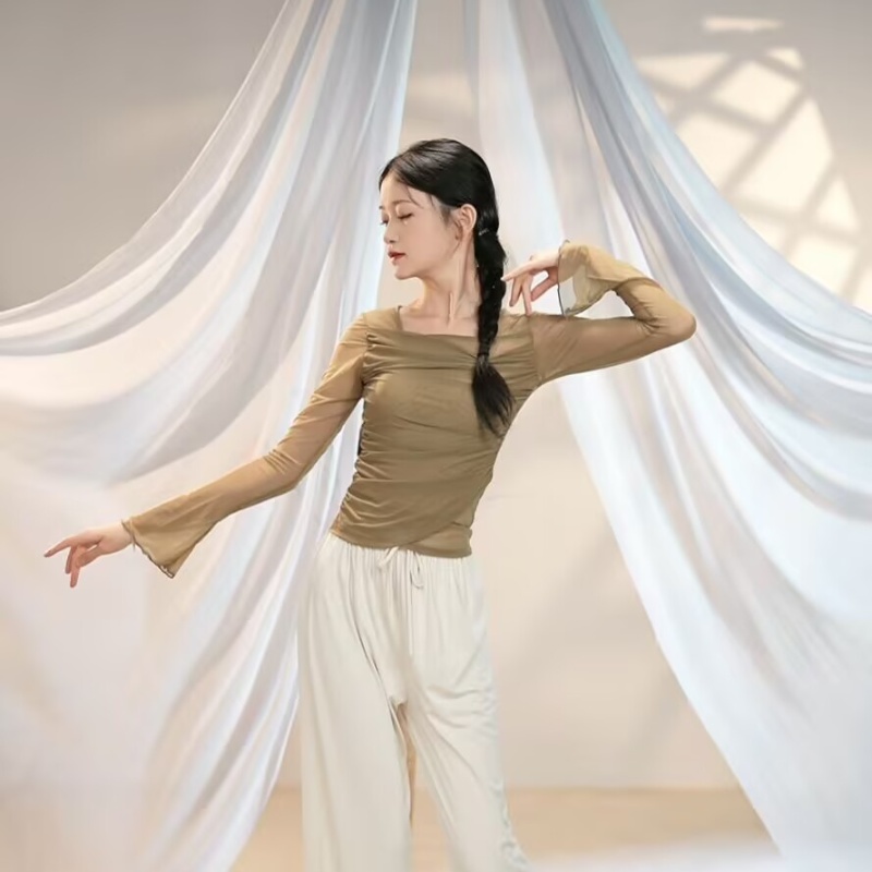 古典舞练功服女早秋新款修身喇叭袖上衣褶皱长袖现代舞蹈服纱衣