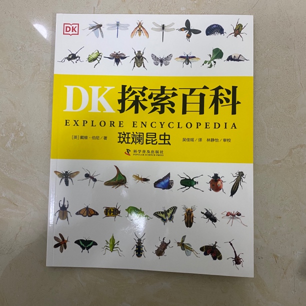 DK探索百科 斑斓昆虫