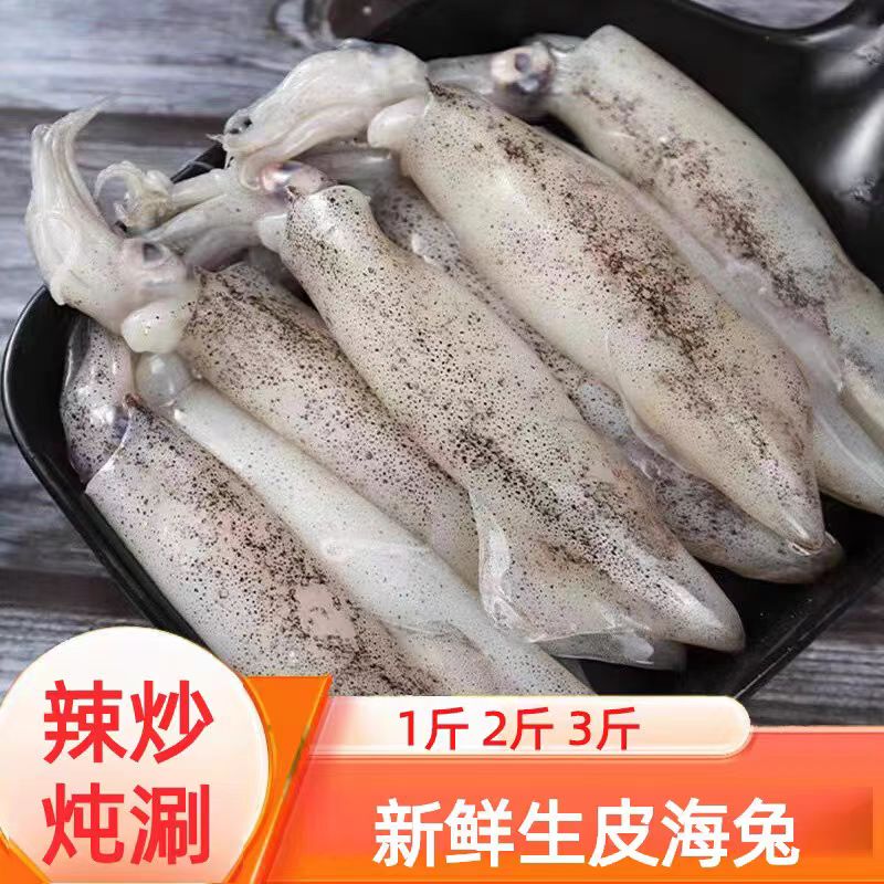 海兔新鲜籽乌生冻笔管鱼鲜海兔（公管）