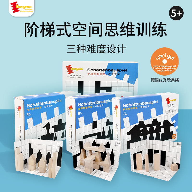 Dusyma 空间思维训练积木 初中高阶