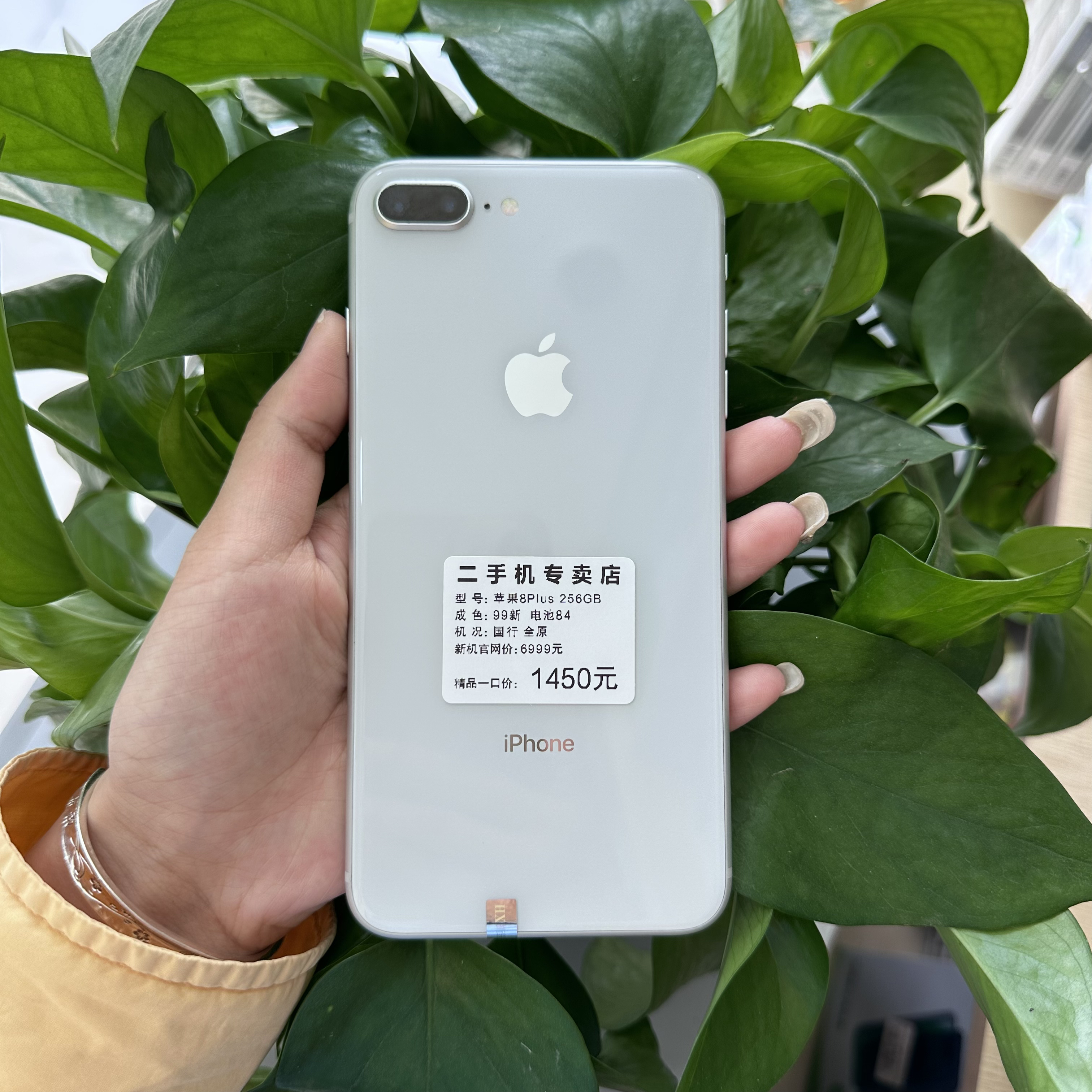 99新 Apple/苹果 苹果8Plus 256GB  国行全原单卡电池84
