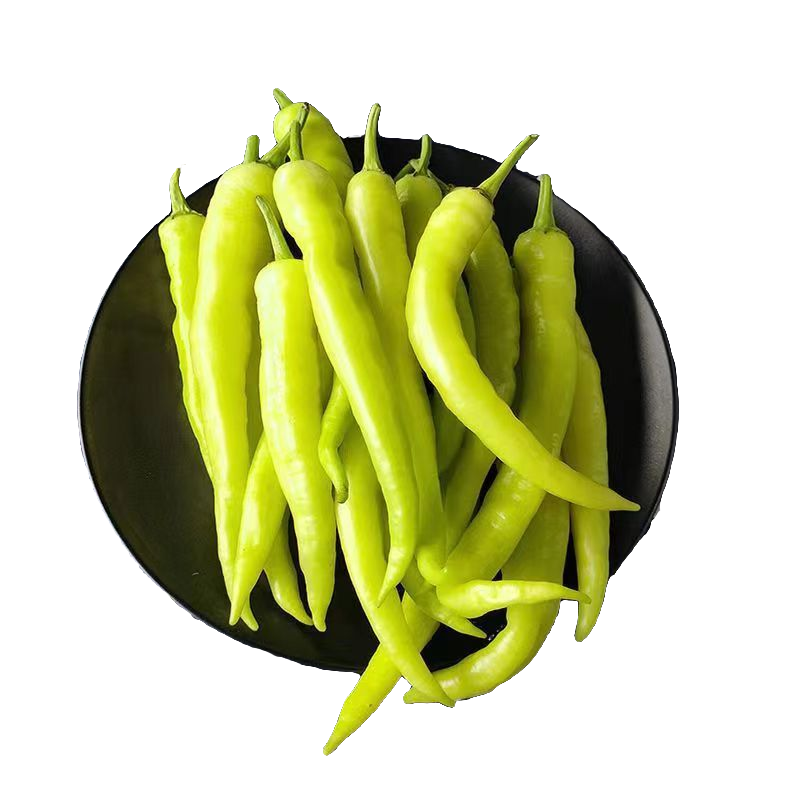 白辣椒约250-300g