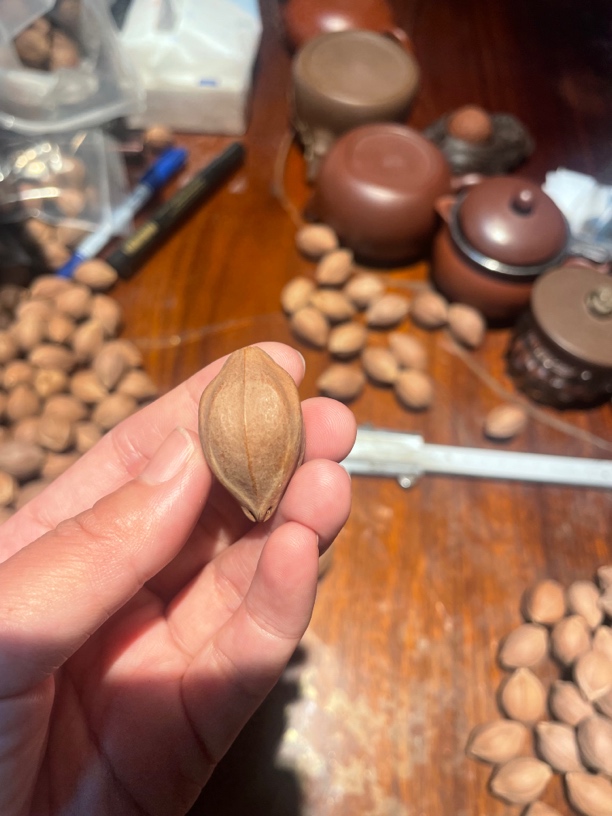 橄榄核四花铁核2.1+，品相周正