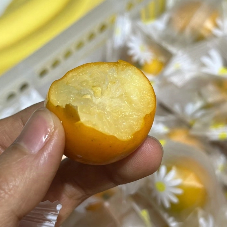 【十粒装】脆蜜金柑（脆甜爆汁）