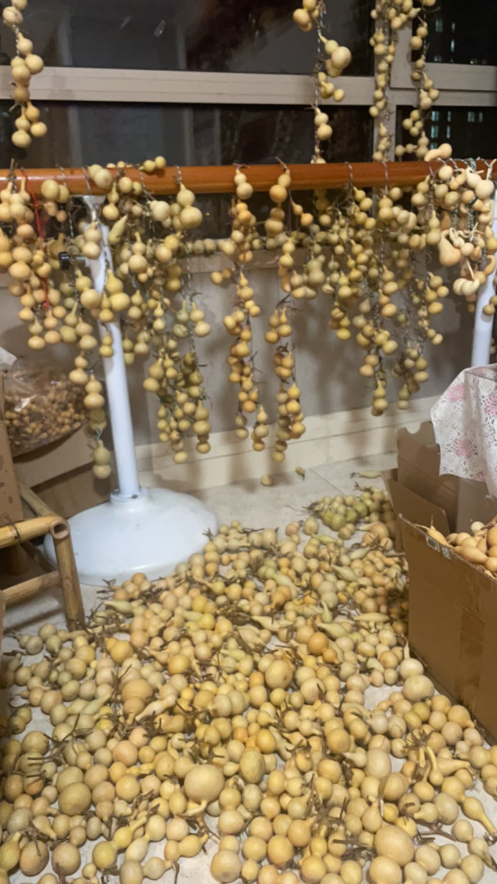 精品八宝葫芦（青皮保成不退换，抽裂发图退全款）