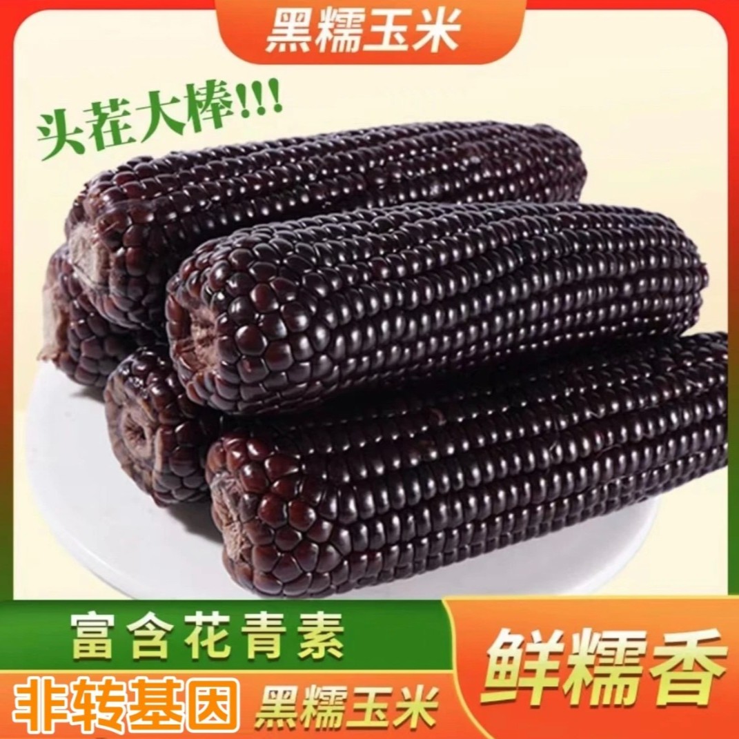 【汇峰农场】黑黏糯鲜食玉米8-8.5斤 9个左右 （新鲜现采 顺丰包邮）