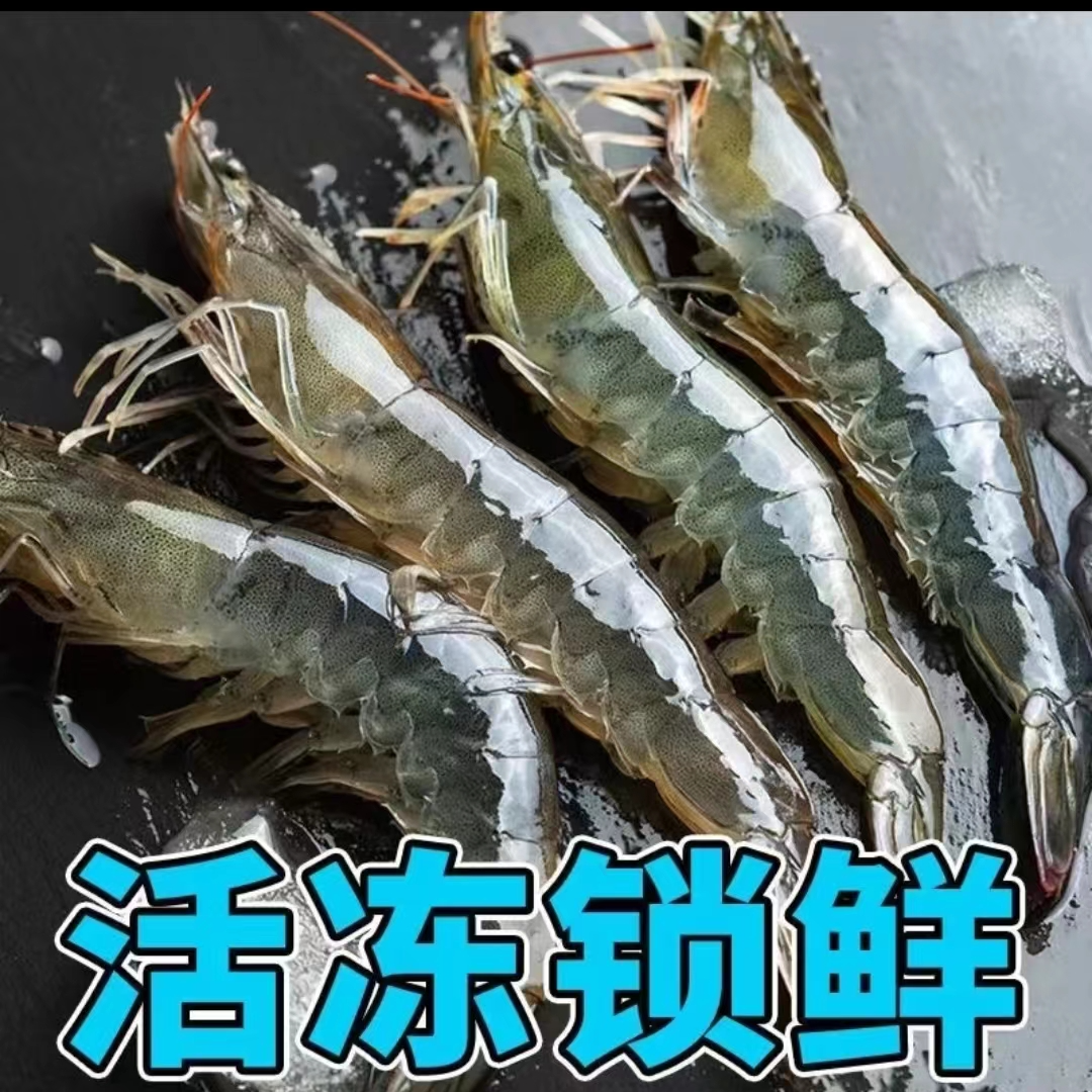 青岛海虾盐冻锁鲜15-18厘米左右2030规格大大号海虾袋装