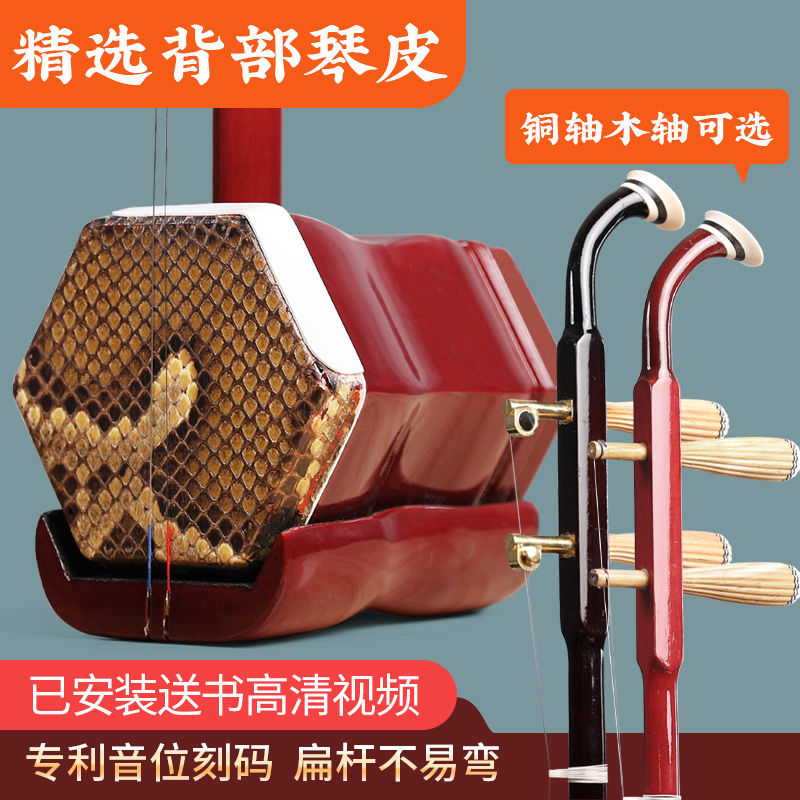 背皮二胡乐器入门初学者专业考级成人儿童通用铜轴练习琴厂家直销