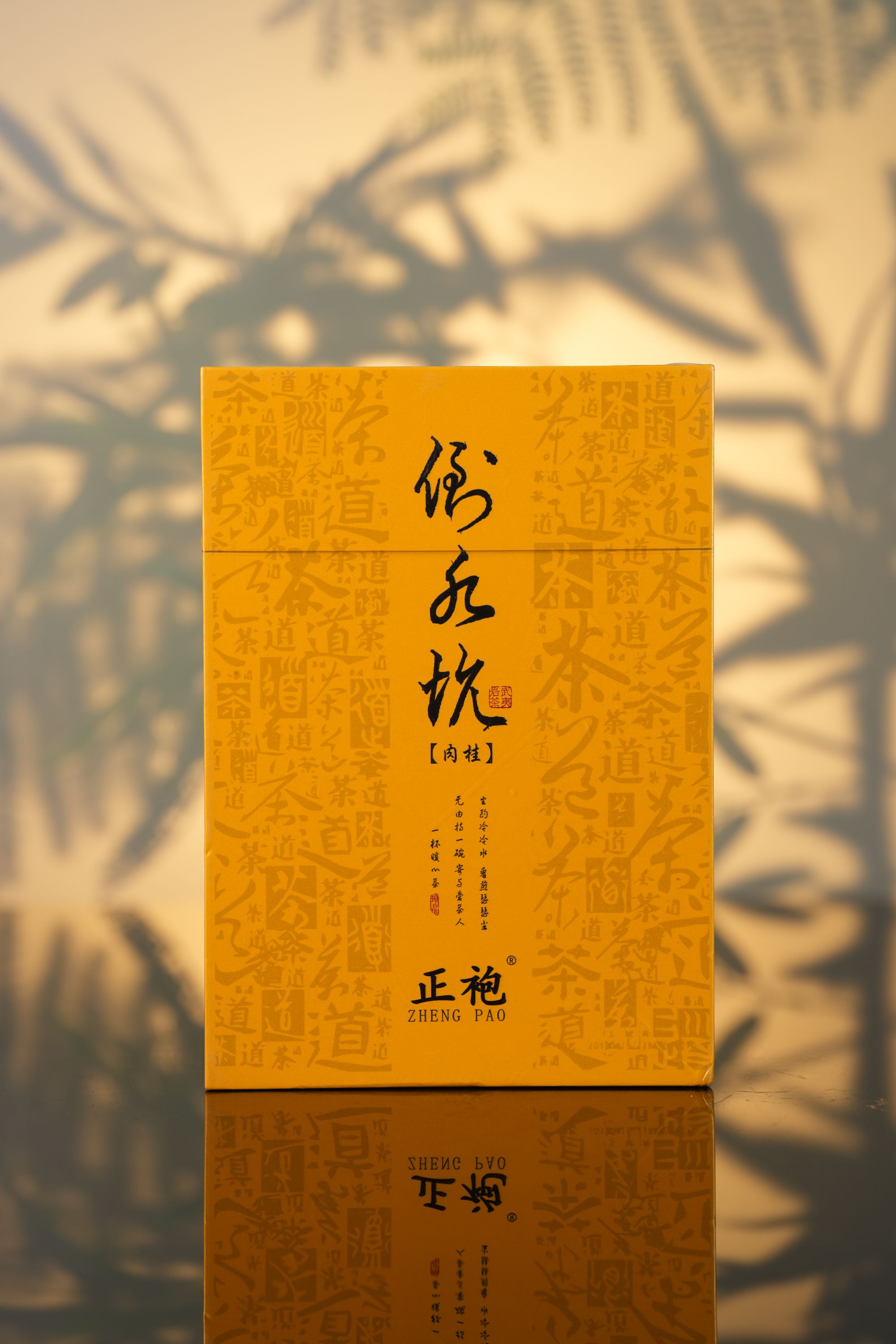 【大老粗茶仓】FY正袍 倒水坑肉桂