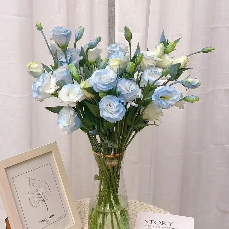 新鲜洋桔梗云南斗南鲜花直发家居插花卧室客厅摆放花束同城速递送