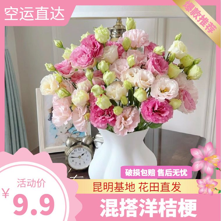 【现摘现发】云南洋桔梗鲜花花束客厅摆设花家庭用花礼物花束