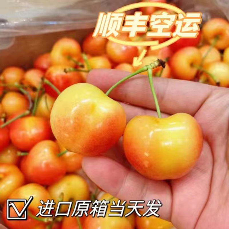 智利海运雷尼尔黄金车厘子J-5J礼盒装1-4.4斤顺丰包邮内附果径卡