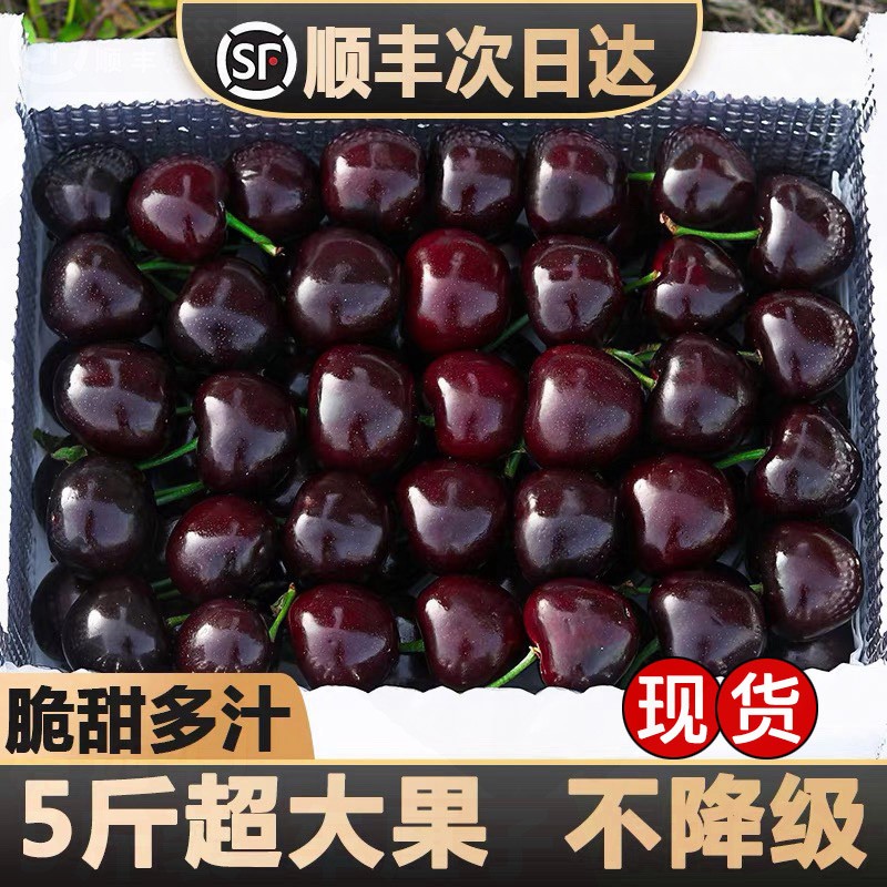 J-5JD特大果海运智利车厘子进口新鲜水果脆甜原箱顺丰内附果径卡