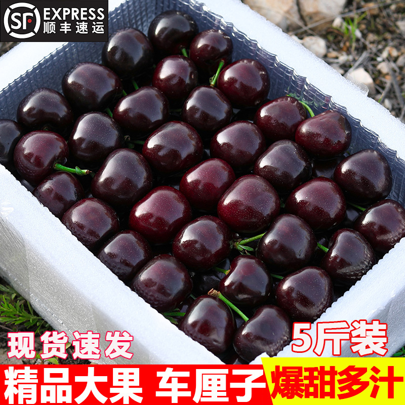 智利进口车厘子J-5J级孕妇新鲜水果脆甜原箱顺丰海运内附果径卡