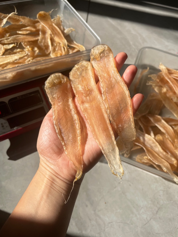 南澳本港白花鱼胶51头斤