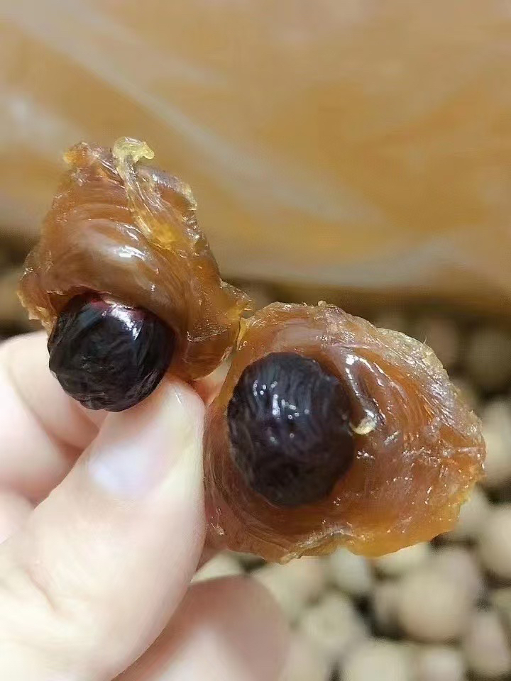 莆田桂圆干，大个肉厚