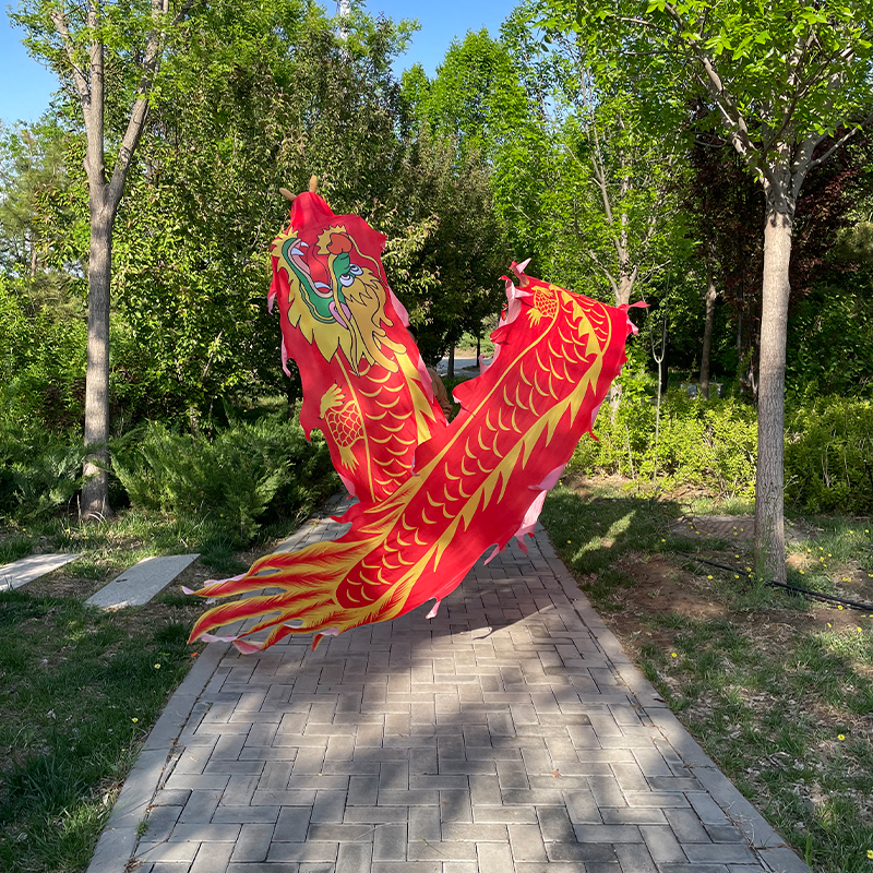 直播福利广场舞健身龙 彩绸绸缎加厚一体尾精品不锈钢全套