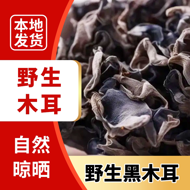 东北特产干货长白山2025年头茬秋耳秋木耳肉厚无根无沙无增重
