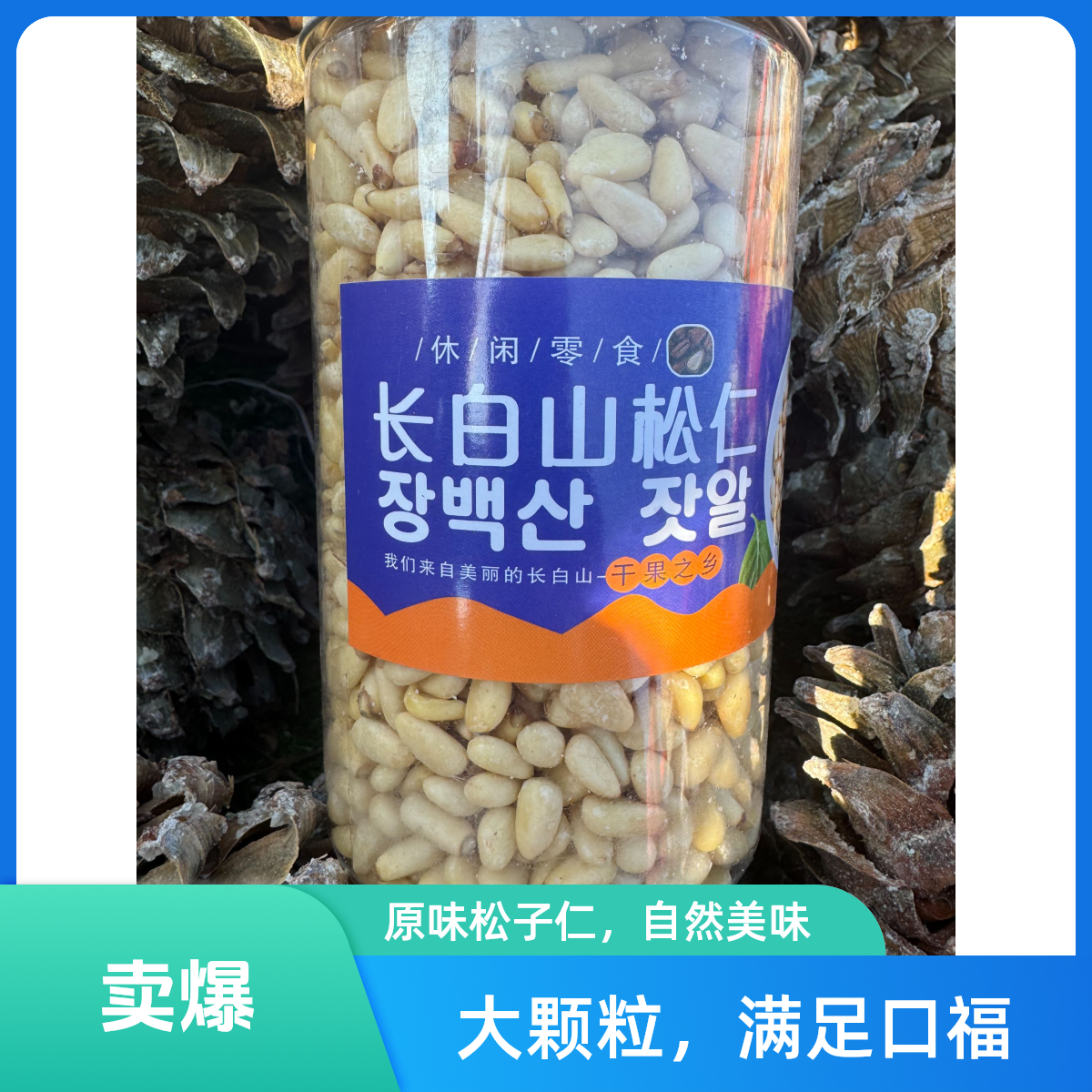 (松子仁) 原味罐装24年 长白山东北熟红松 松子仁 